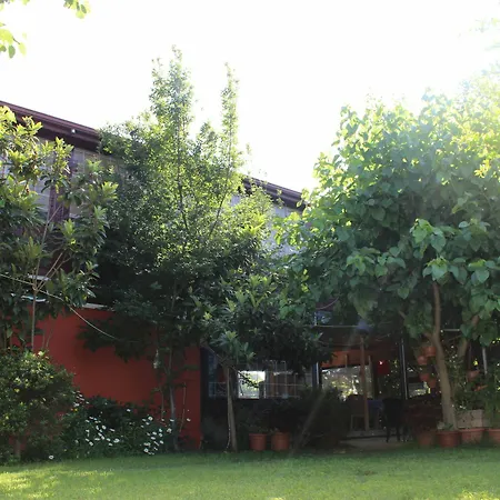 Hotel Alibaba